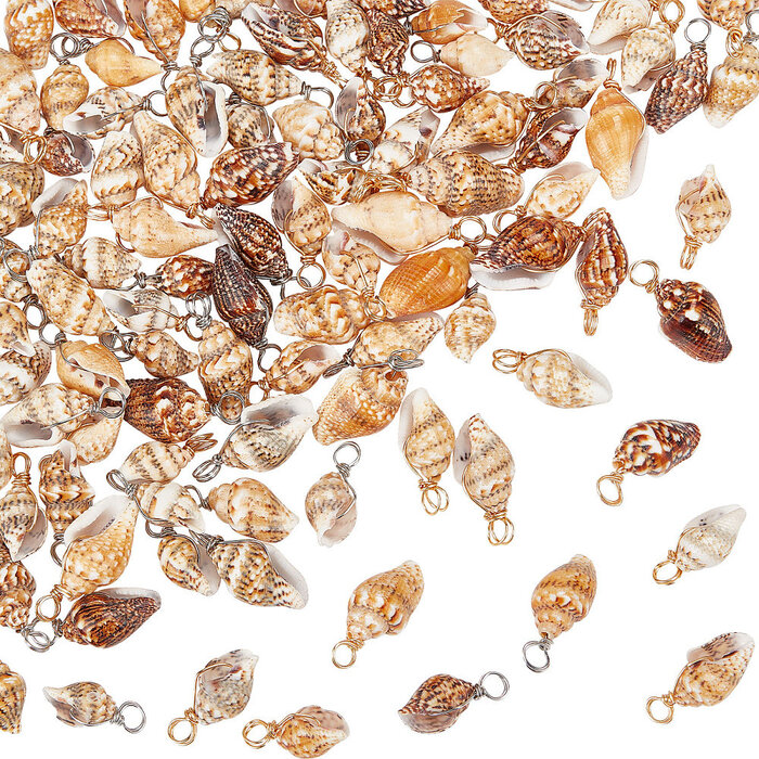 Natural Shell Charm Gold Plated 18~23x7~10x6~7.5mm