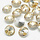Point Stone Light Champagne 6mm
