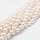 Shell Pearl Beads 6mm, strand 50 pieces
