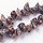 Natural Spiral Shell Beads 5~10x12~17x6~10mm, strand 70 pieces