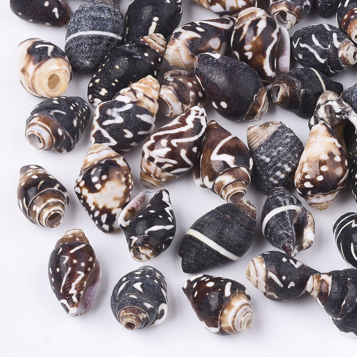 Natural Dark Shell Beads 10~16x7~10x7~9mm, 10 pieces