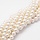 Shell Pearl Beads 8mm, strand 40 pieces