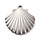 Stainless Steel Charm Shell Silver 20.5x20x2mm