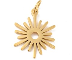 Stainless Steel Bedel Zon Gold Plated 17.5x13.5x1mm