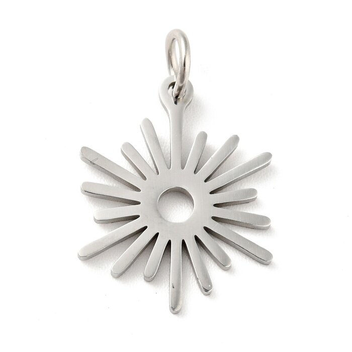 Stainless Steel Bedel Zon Zilver 17.5x13.5x1mm