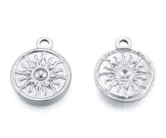 Stainless Steel Bedel Munt Zon Zilver 19x15.5x2mm