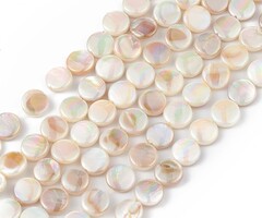Natural Freshwater Shell Beads 8x3mm, strand 35 pieces