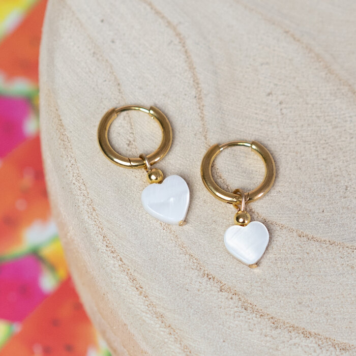 Stainless steel earrings with shell heart Inspi613