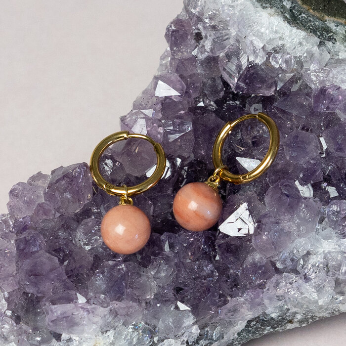 Stainless steel gemstone earrings
