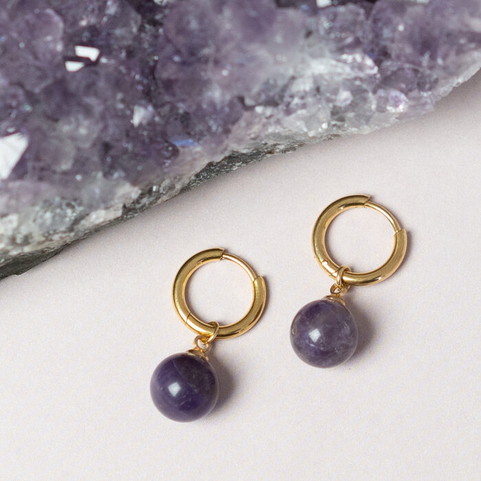 Stainless steel gemstone earrings Inspi615