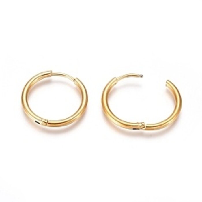 2 stuks Stainless Steel Hoop Huggies Oorbellen Gold Plated 20mm