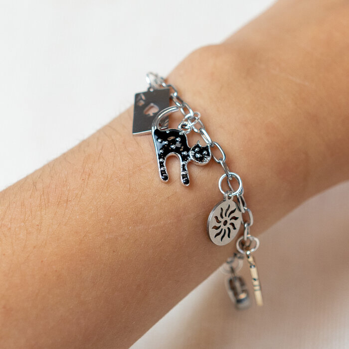 Charms Bracelet In Gold And Silver Inspi648