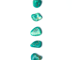Turquoise gekleurde Howliet Edelsteen Trommelsteen/Knuffelsteen 17~24x7~10x13x15mm