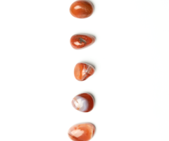 Carnelian Gemstone Tumblestone 20~24x8~10x14~16mm