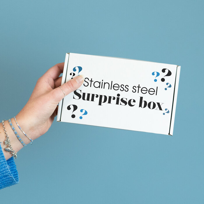 Limited Edition: Stainless steel Surprise Box Zilver kleur
