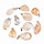 Natural Gemstone Citrine nugget Charm 21~40x11~21x6.5~19mm