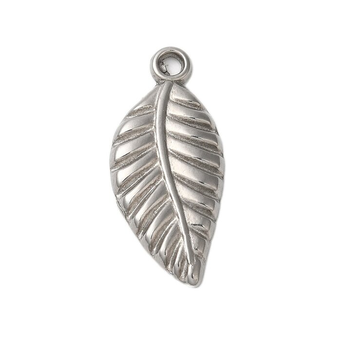 Stainless Steel Charm Leaf 24x10.5x2mm