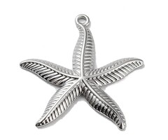 Stainless Steel Bedel Zeester Zilver 29x27.5x2.5mm