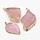 Natural Rozenkwarts Bedel met Gold Plated 45~63x26~33x9~10mm
