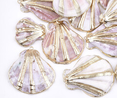 Electroplated Shell Charm Gold 33~47x27~43x10~14mm