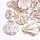 Electroplated Shell Charm Gold 33~47x27~43x10~14mm