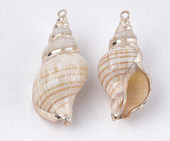 Electroplated Shell Charm Spiral Gold 27~41x13~20x12~18mm