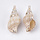 Electroplated Shell Charm Spiral Gold 27~41x13~20x12~18mm