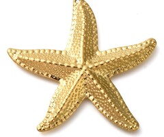 Stainless steel starfish charm gold plated 41x45x3mm