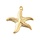 Stainless steel starfish charm gold plated 37x35x3mm