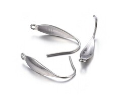 Stainless steel oorbel haakje met oogje 20x4.5x1mm, 2 stuks