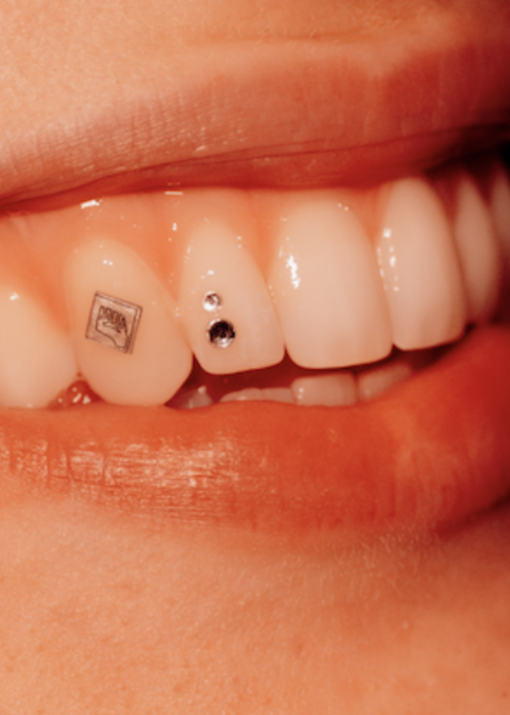 Rotterdam Rave Limited Edition Rotterdam Rave Gem