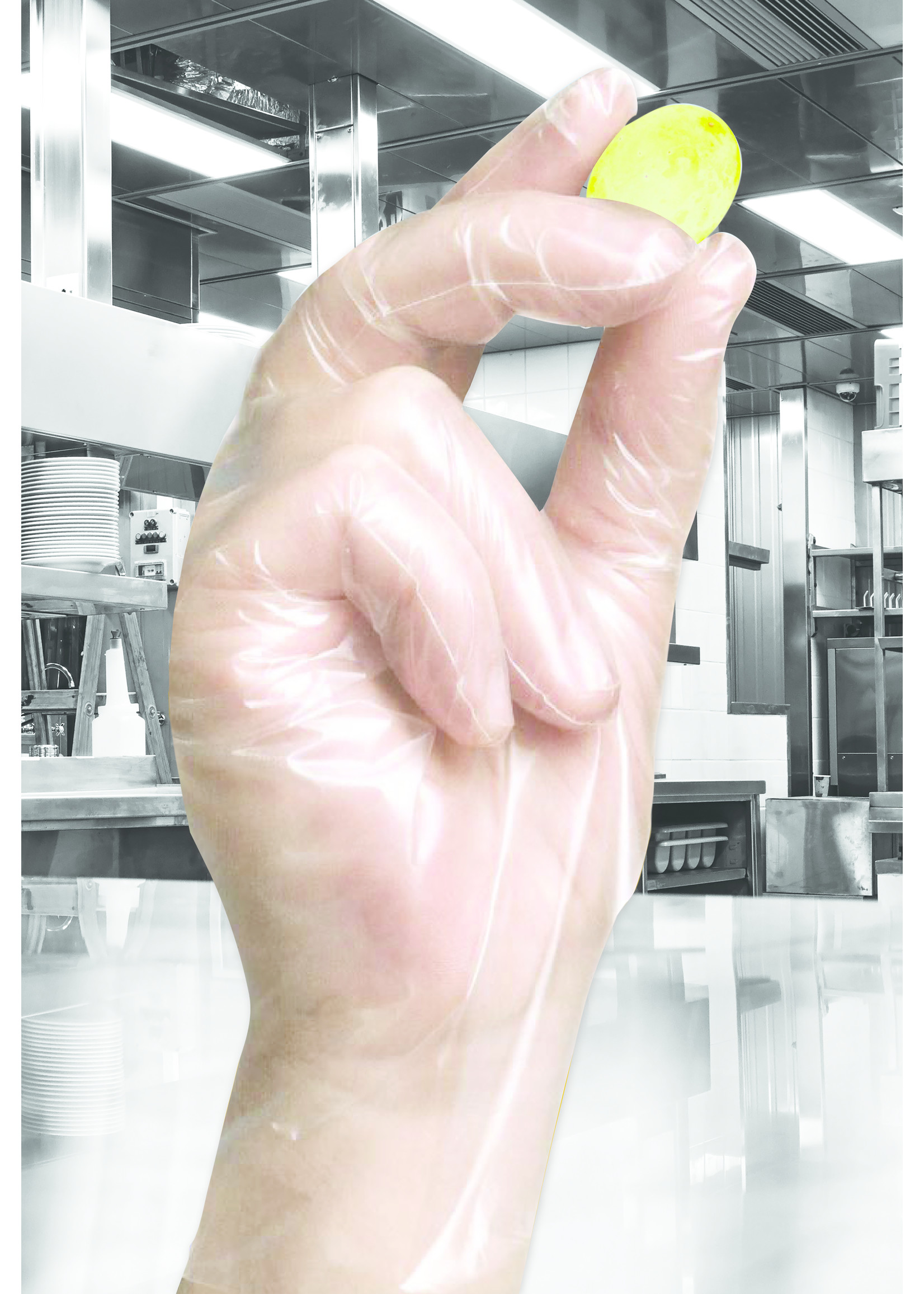 PH Polyco Healthline # PACK AVANTAGE 2500 pcs: CAT I Gants TPE polysynthétique non-poudré Polyco Healthline SHIELD GD76 (10x250)