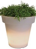 Kaufmann Plantenbak met verlichting