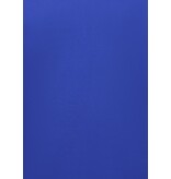 True Rise Herrpikétröja - Herrpikétröja med kort ärm - Herrpikétröja - Slim fit - A150 - Koboltblå