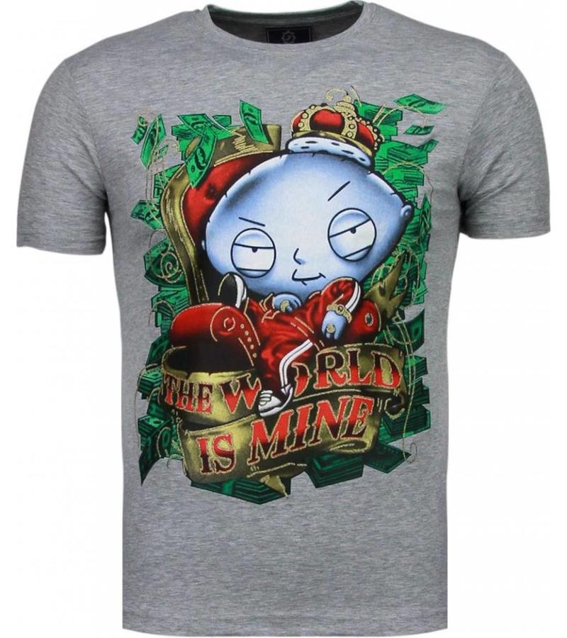 Local Fanatic Rich Stewie Money World - T Shirt Herr - 2005G  - Grå