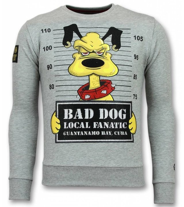 Local Fanatic Pluto Pullover - Cartoon Pullover Männer - Grau