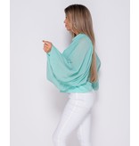 PARISIAN Batwing Ärmel Chiffon High Neck Bluse - Frauen - Grün