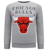 Local Fanatic Chicago Bulls Herren Pullover - Grau