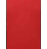 True Rise Herren Polohemd – Kurzarm Poloshirt für Herren – Slim Fit – A150 – Rot