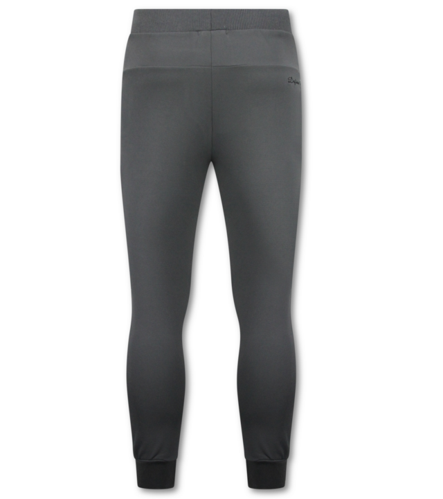 TopStar 2Pac Trainingsanzug mit Kapuze für Herren – Tupac Trainingsanzüge – Heimtrainer für Herren (Erwachsene) – 672 – Grau