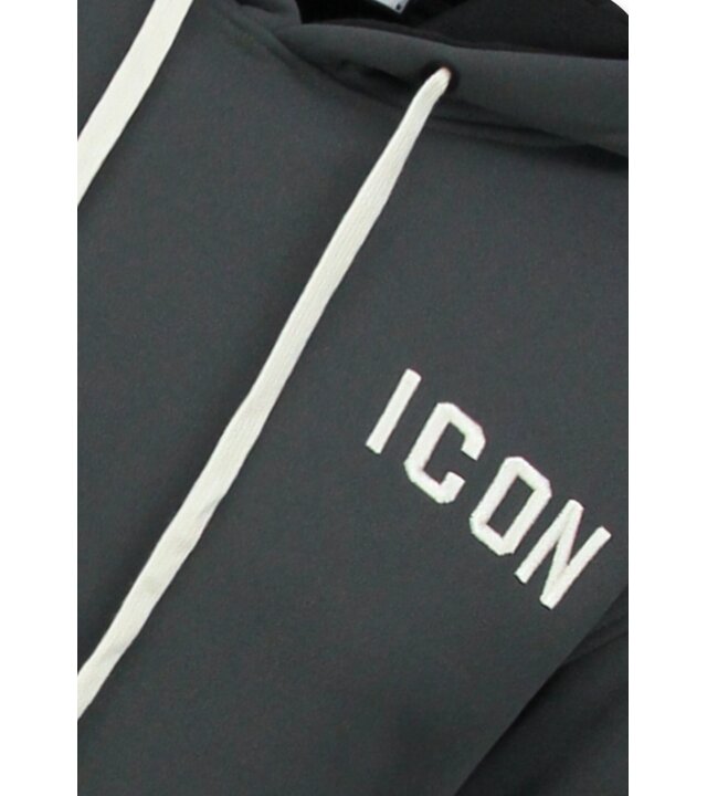 True Rise Oversized Hoodie für Herren mit Kapuze – ICON Dollar Print – Dick gewebt – 5567 – Grau