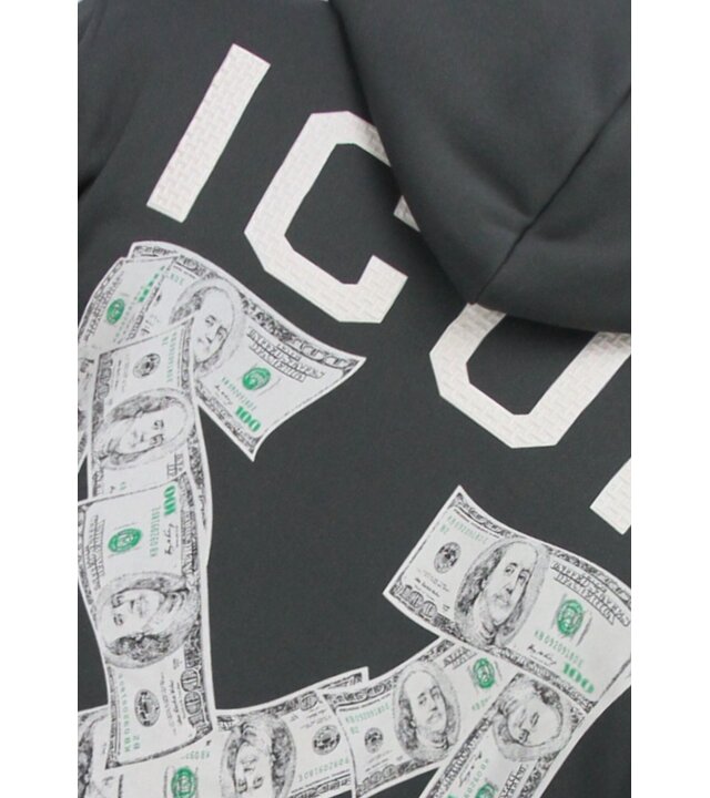 True Rise Oversized Hoodie für Herren mit Kapuze – ICON Dollar Print – Dick gewebt – 5567 – Grau