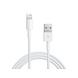 Lightning naar USB kabel 1 meter Origineel Lightning naar USB kabel 1 meter Origineel