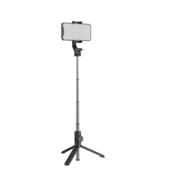 Selfie Sticks