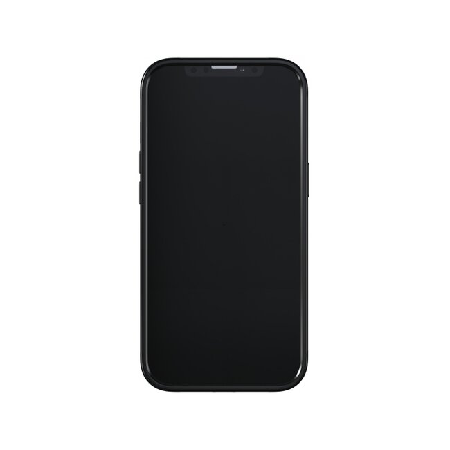 Richmond & Finch Freedom Series One-Piece Apple iPhone 13 Pro Black Marble