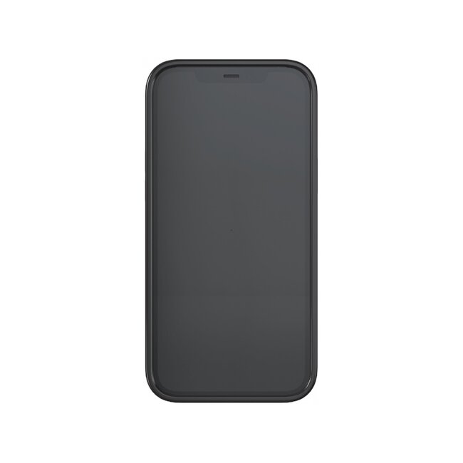 Richmond & Finch Freedom Series One-Piece Apple iPhone 12 Pro Max Black Marble