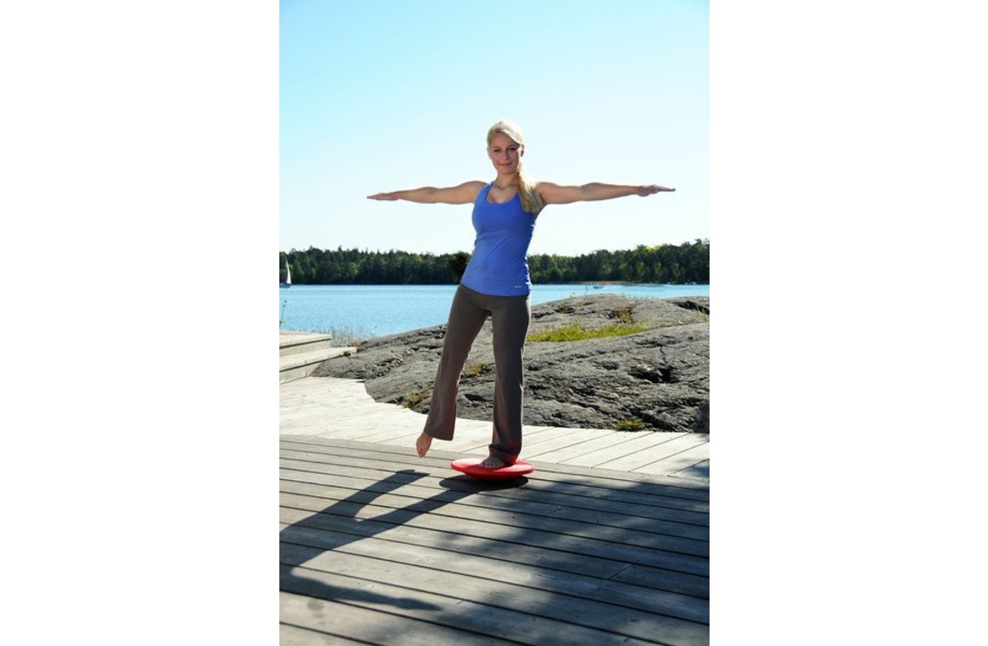 Sissel Balance Board