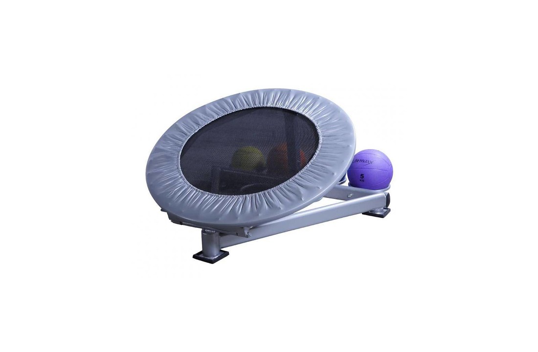 Lifemaxx Medicineball rebounder (silver)