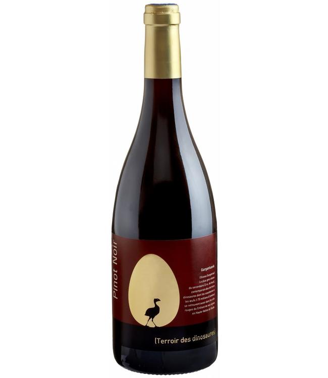Anne de Joyeuse Gargantuavis Pinot Noir 0,750L Rood