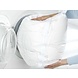 Neweco® Wasnet groot 60x90 cm tot 3 kg wasgoed Neweco® Wasnet groot 60x90 cm tot 3 kg wasgoed